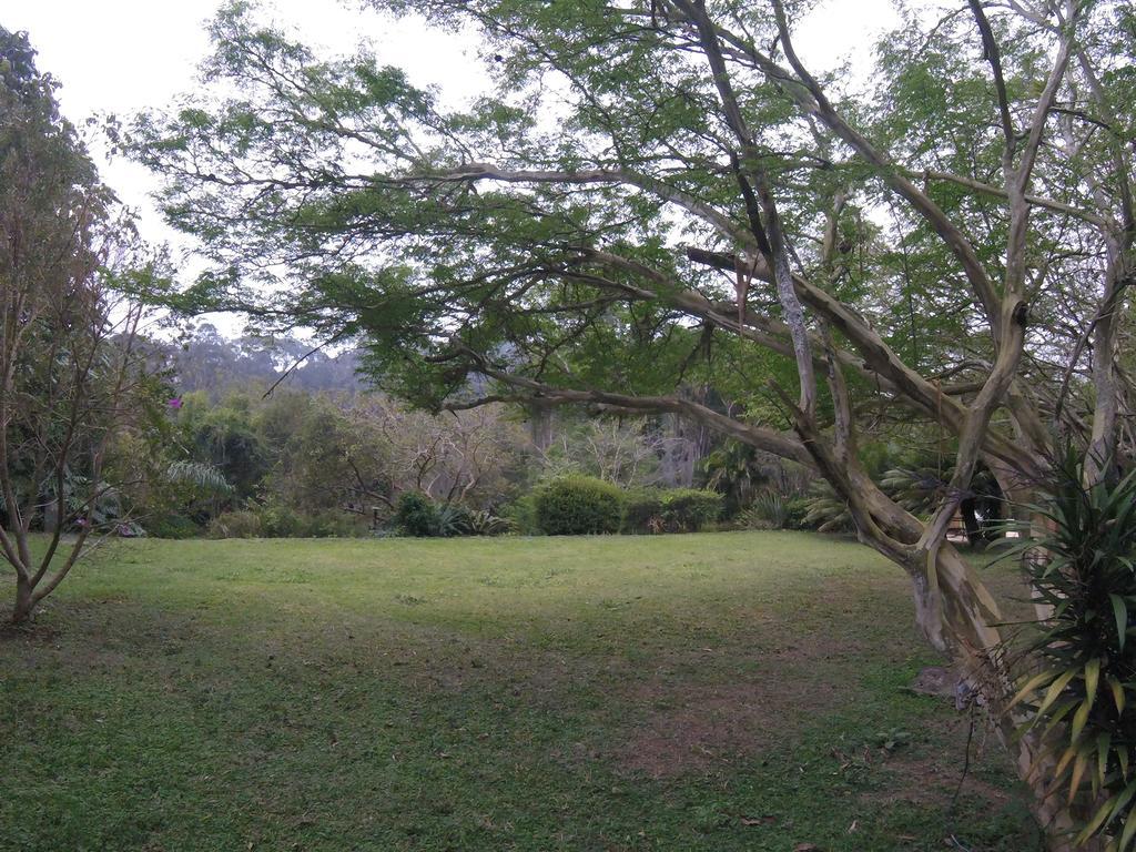 Pousada Amoedo Hotel Petropolis  Exterior photo